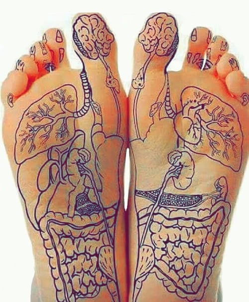 Formation - Devenir praticien(ne) foot sensation - photo de pieds avec un corps dessiner dessus