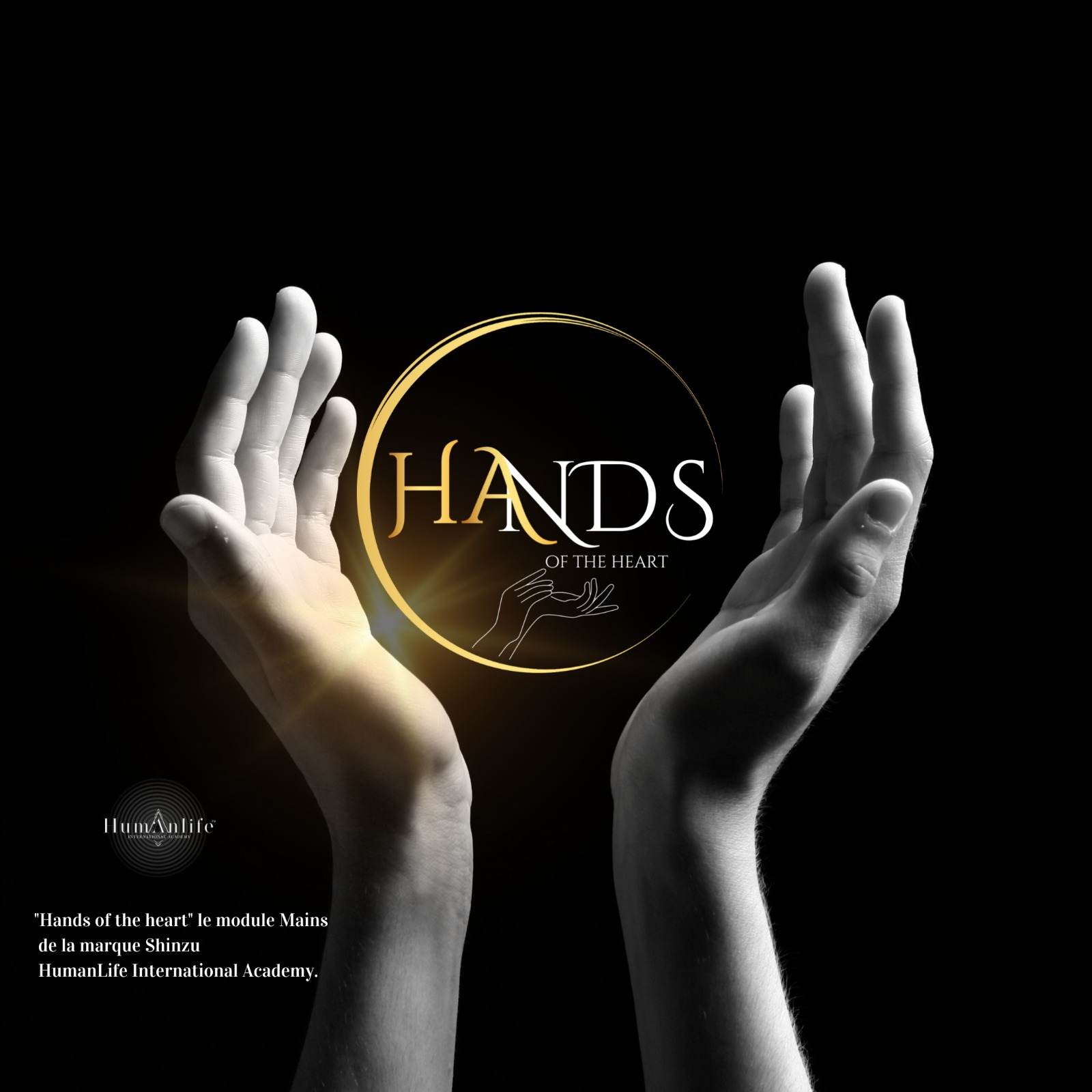 Formation - Massage des mains - Hands of Heart